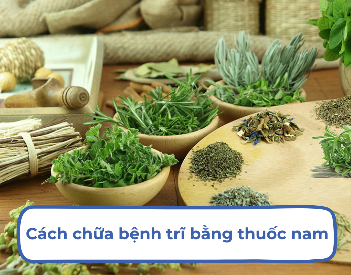 Chữa bệnh trĩ bằng thuốc nam phù hợp với bệnh ở giai đoạn nhẹ Chữa bệnh trĩ bằng thuốc nam phù hợp với bệnh ở giai đoạn nhẹ